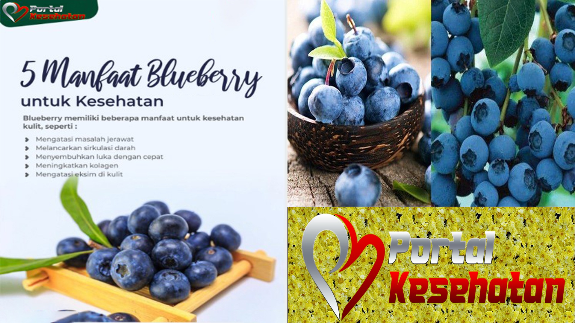 Manfaat Blueberry untuk Kesehatan