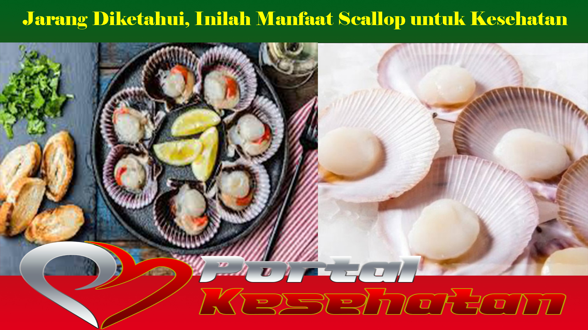 Jarang Diketahui, Inilah Manfaat Scallop untuk Kesehatan