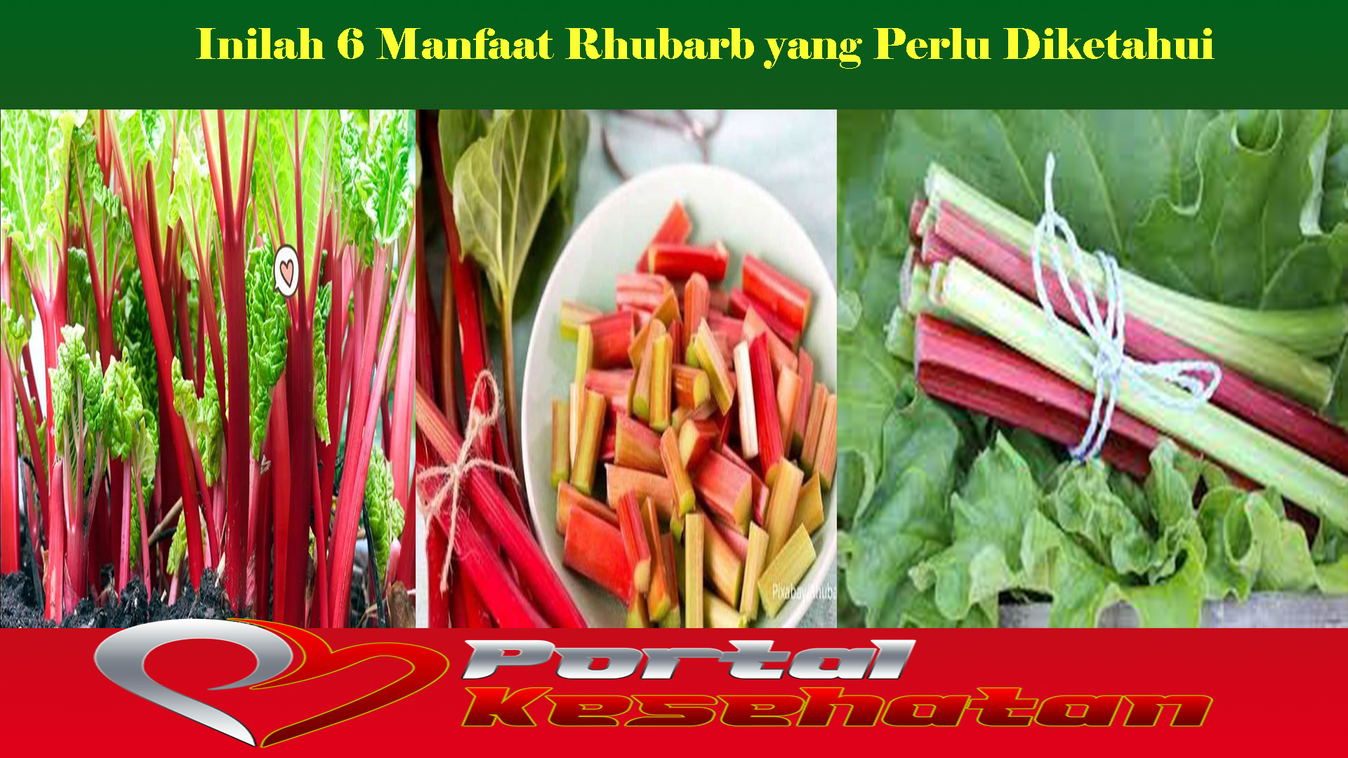 Inilah 6 Manfaat Rhubarb yang Perlu Diketahui