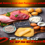 Mengenal Amino Acid dan Fungsinya untuk Tubuh