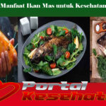 Manfaat Ikan Mas untuk Kesehatan