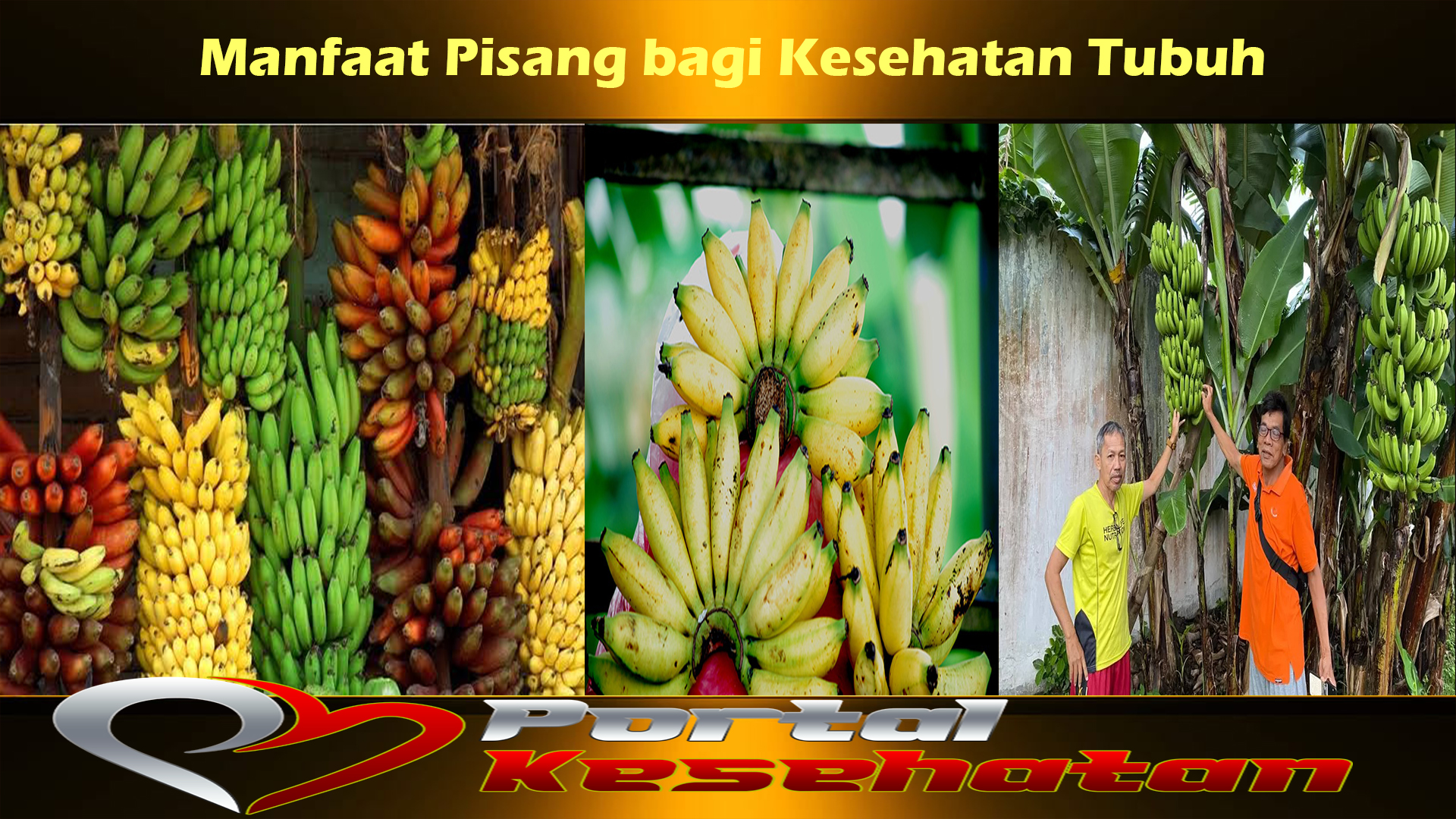 Manfaat Pisang bagi Kesehatan Tubuh