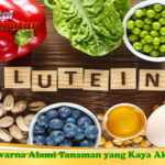Lutein, Pewarna Alami Tanaman yang Kaya Akan Manfaat