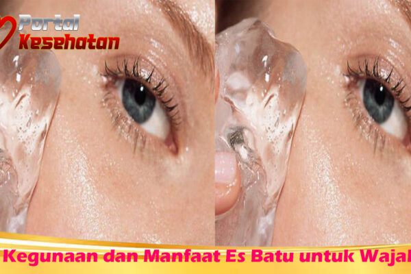 Kegunaan dan Manfaat Es Batu untuk Wajah