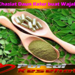 Khasiat Daun Kelor buat Wajah