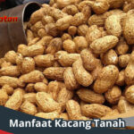 Manfaat Kacang Tanah bagi Kesehatan Tubuh