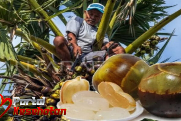 Manfaat Buah Lontar untuk Kesehatan