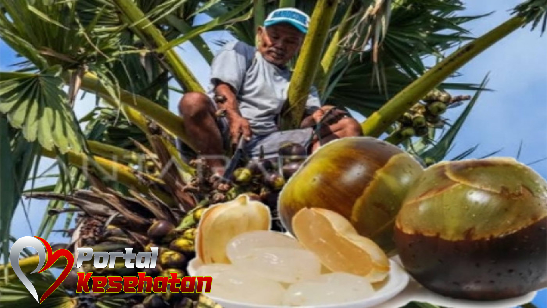 Manfaat Buah Lontar untuk Kesehatan