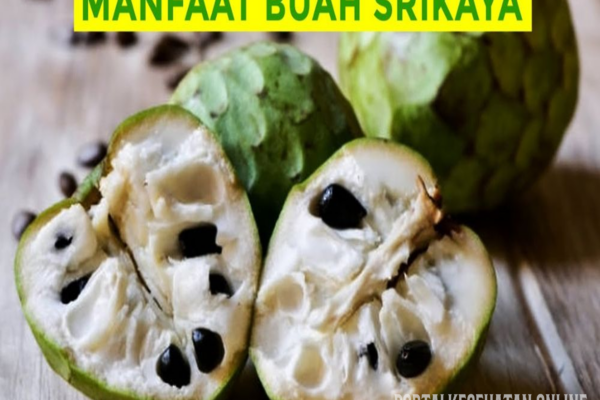 Beragam Manfaat Srikaya